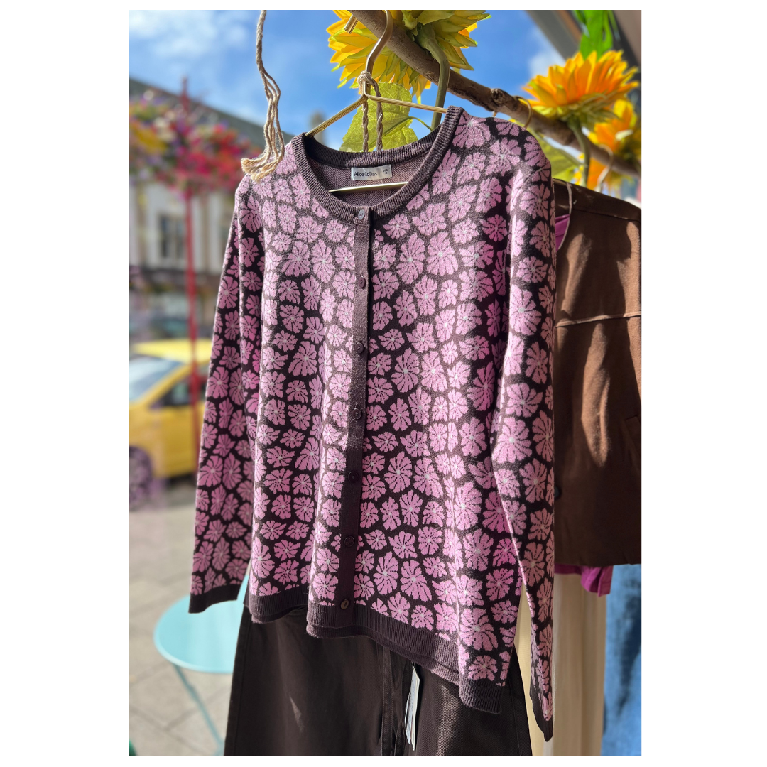Alice Collins Joie Cardigan Chocolate/Raspberry 037A304